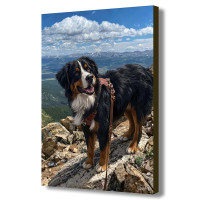 Bernese Mountain Dog A1 Print Bernese Mountain Dog A1 Print